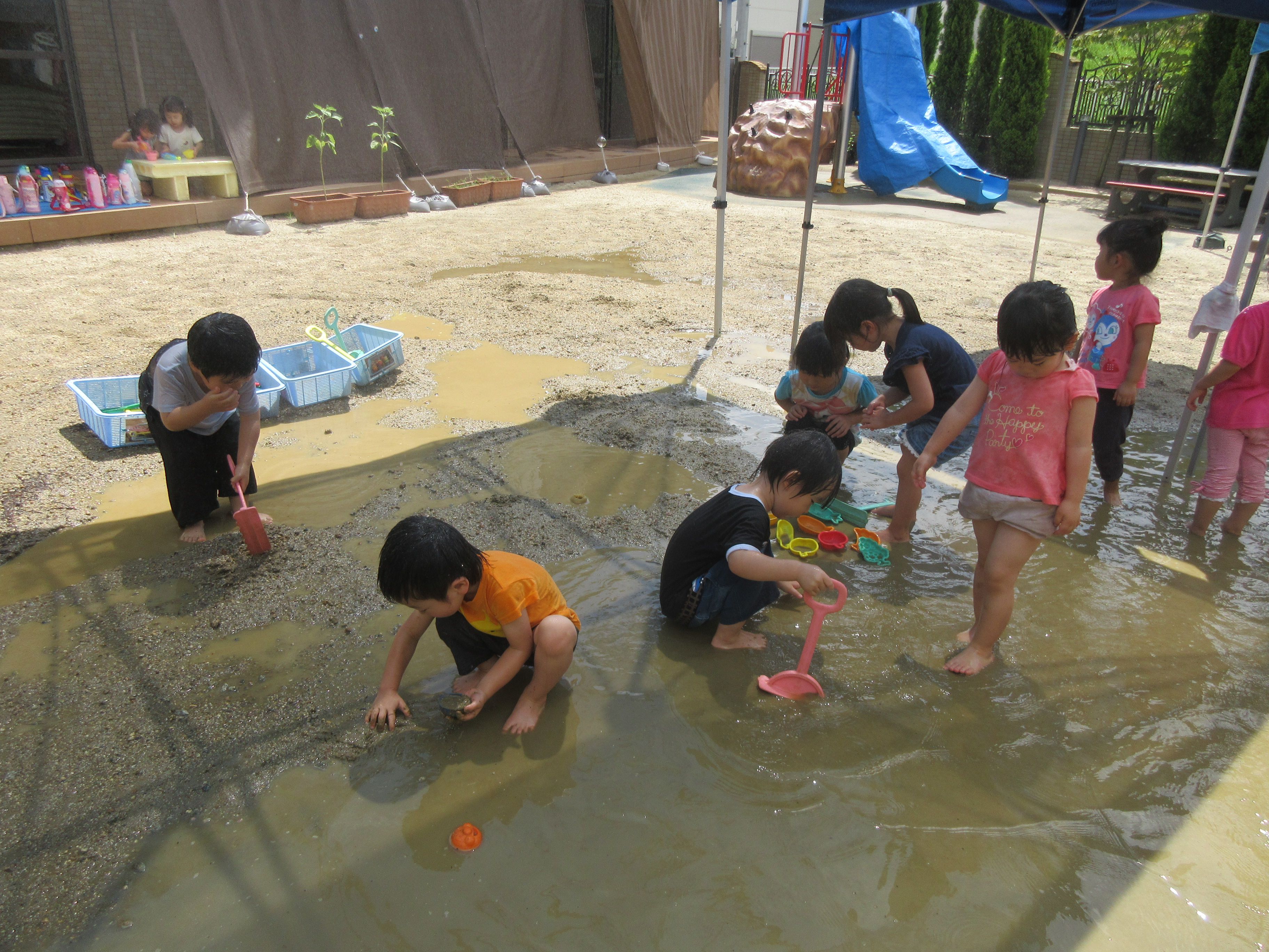 夏だ 水遊びだ 社会福祉法人サンビジョン 保育部会