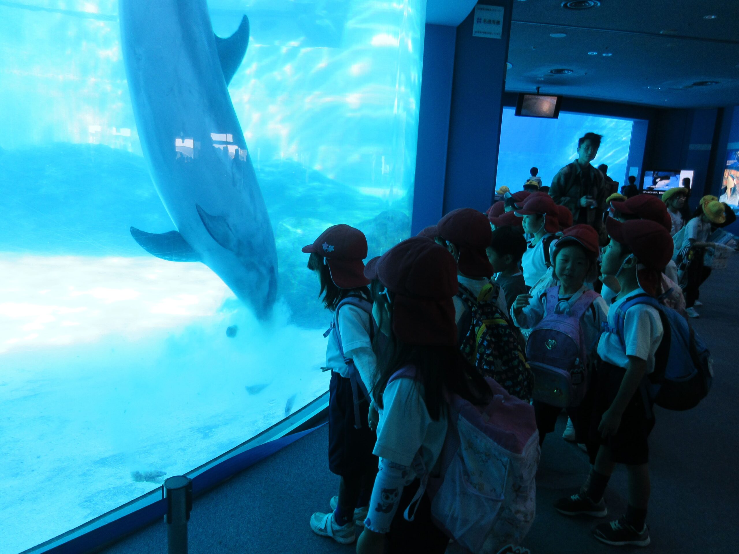 ジョイフルドーム前こども園_ブログ_20251125_02