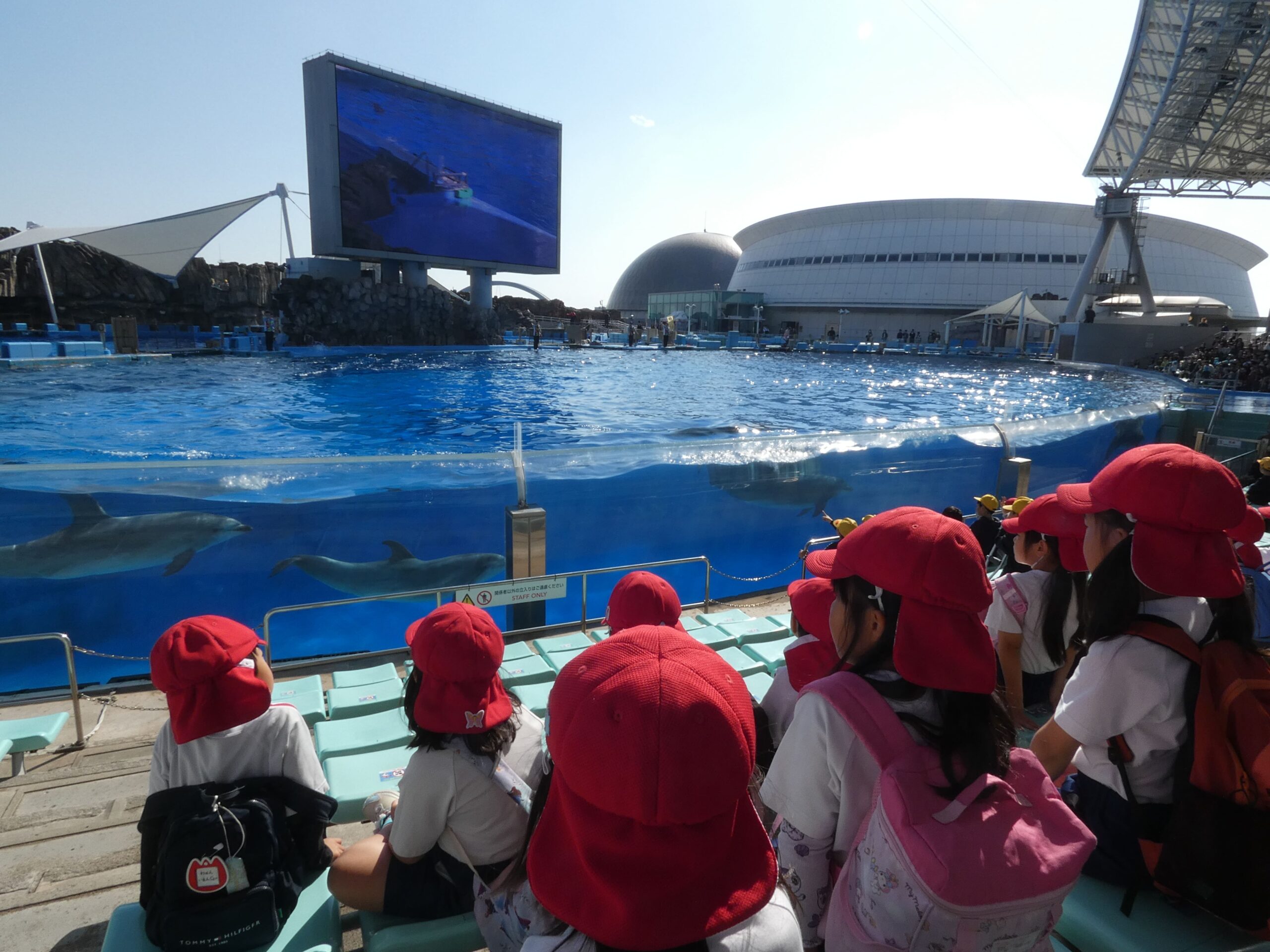 ジョイフルドーム前こども園_ブログ_20251125_03