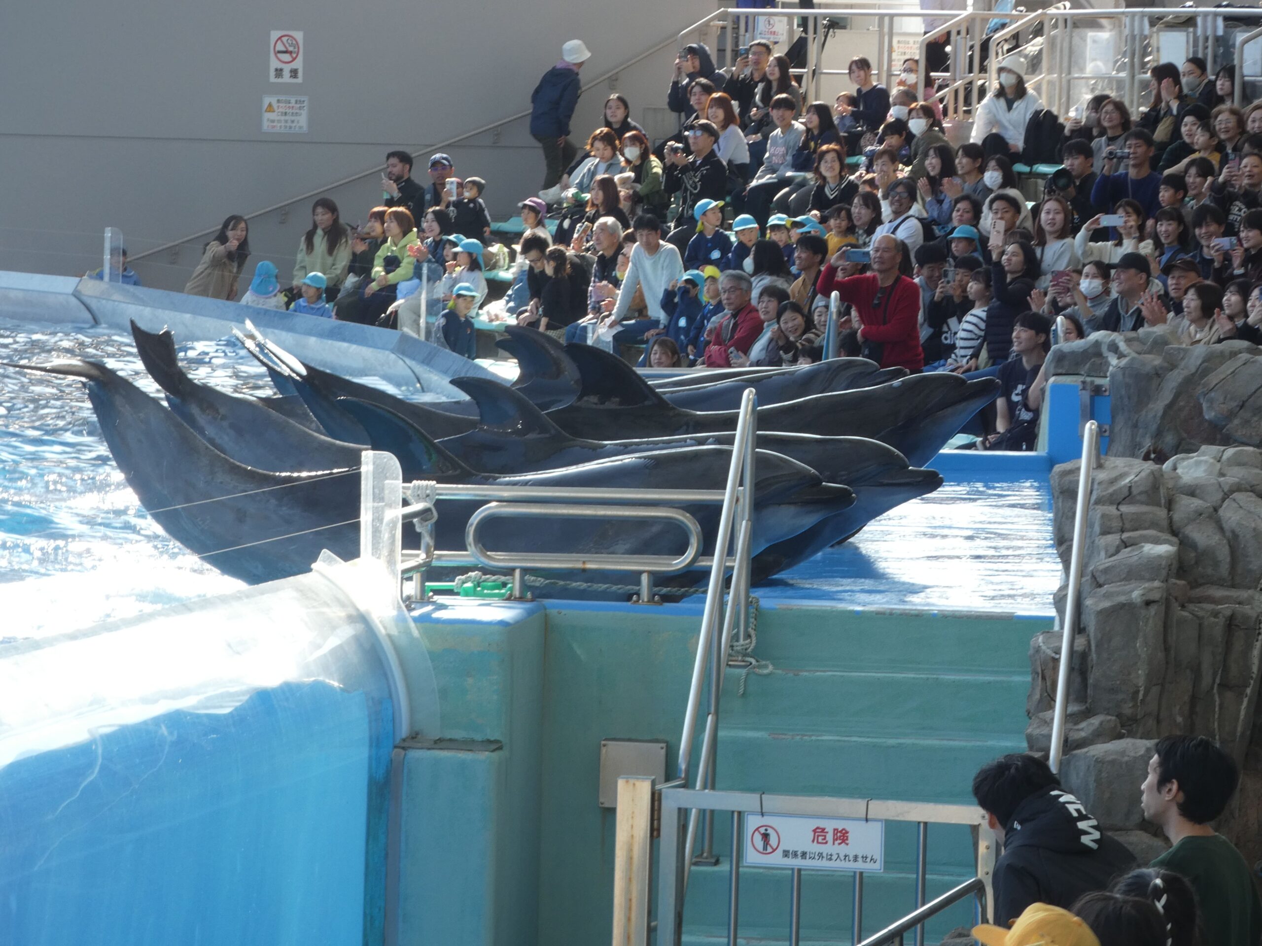 ジョイフルドーム前こども園_ブログ_20251125_04