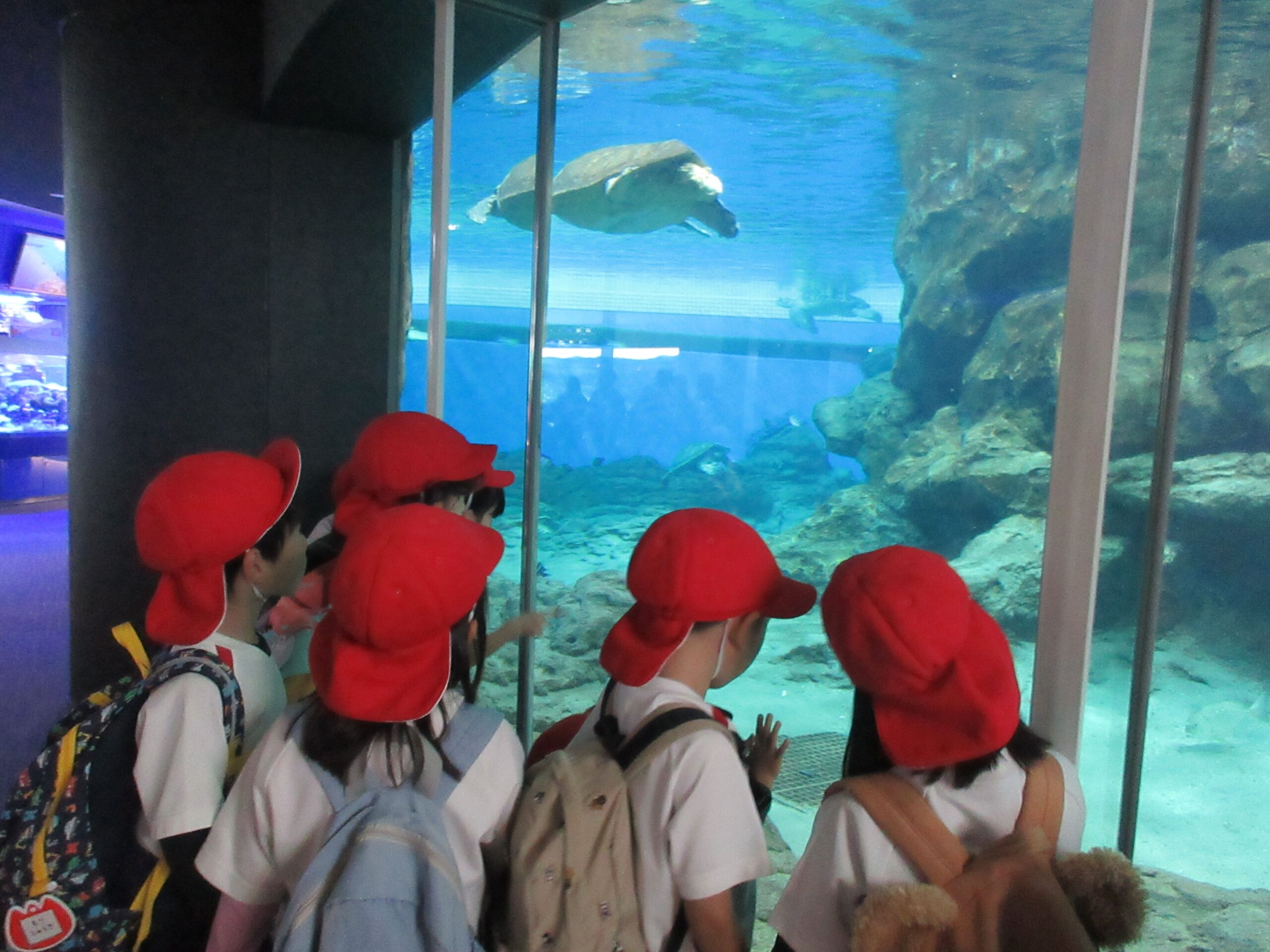 ジョイフルドーム前こども園_ブログ_20251125_06