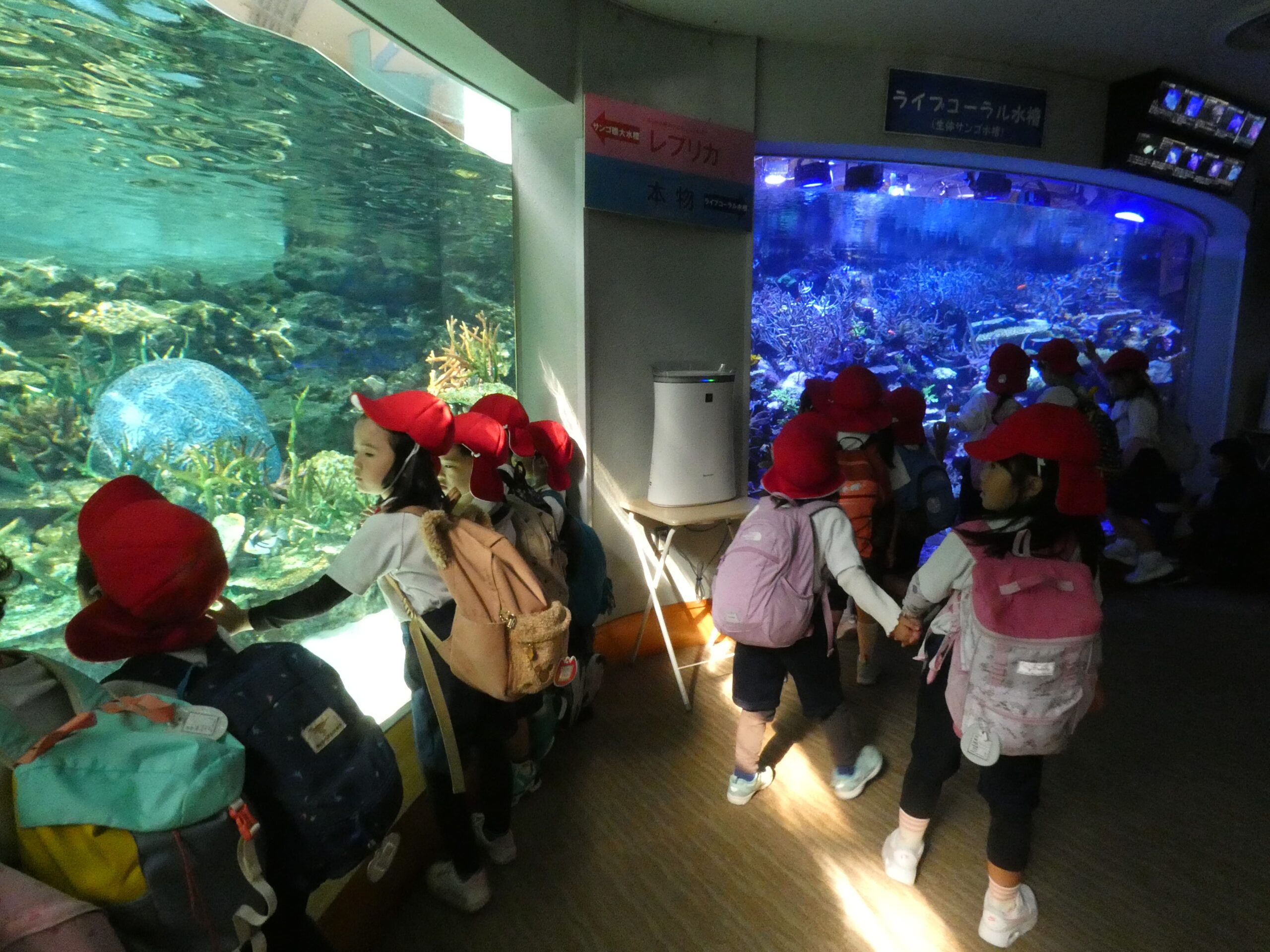 ジョイフルドーム前こども園_ブログ_20251125_07