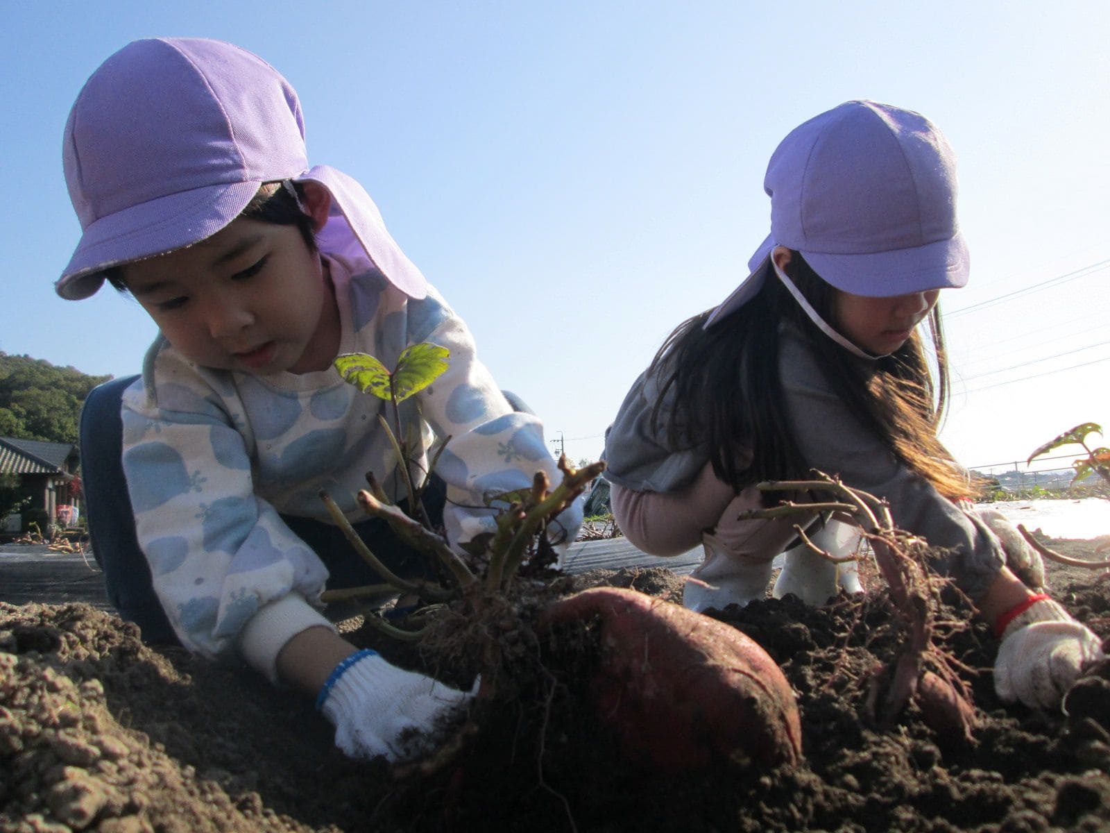 ジョイフル多治見こども園_ブログ_20251107_03