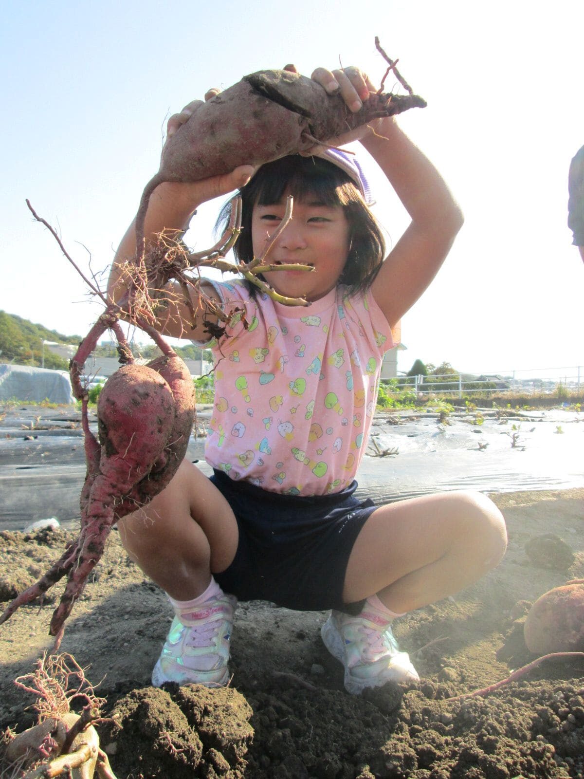 ジョイフル多治見こども園_ブログ_20251107_05