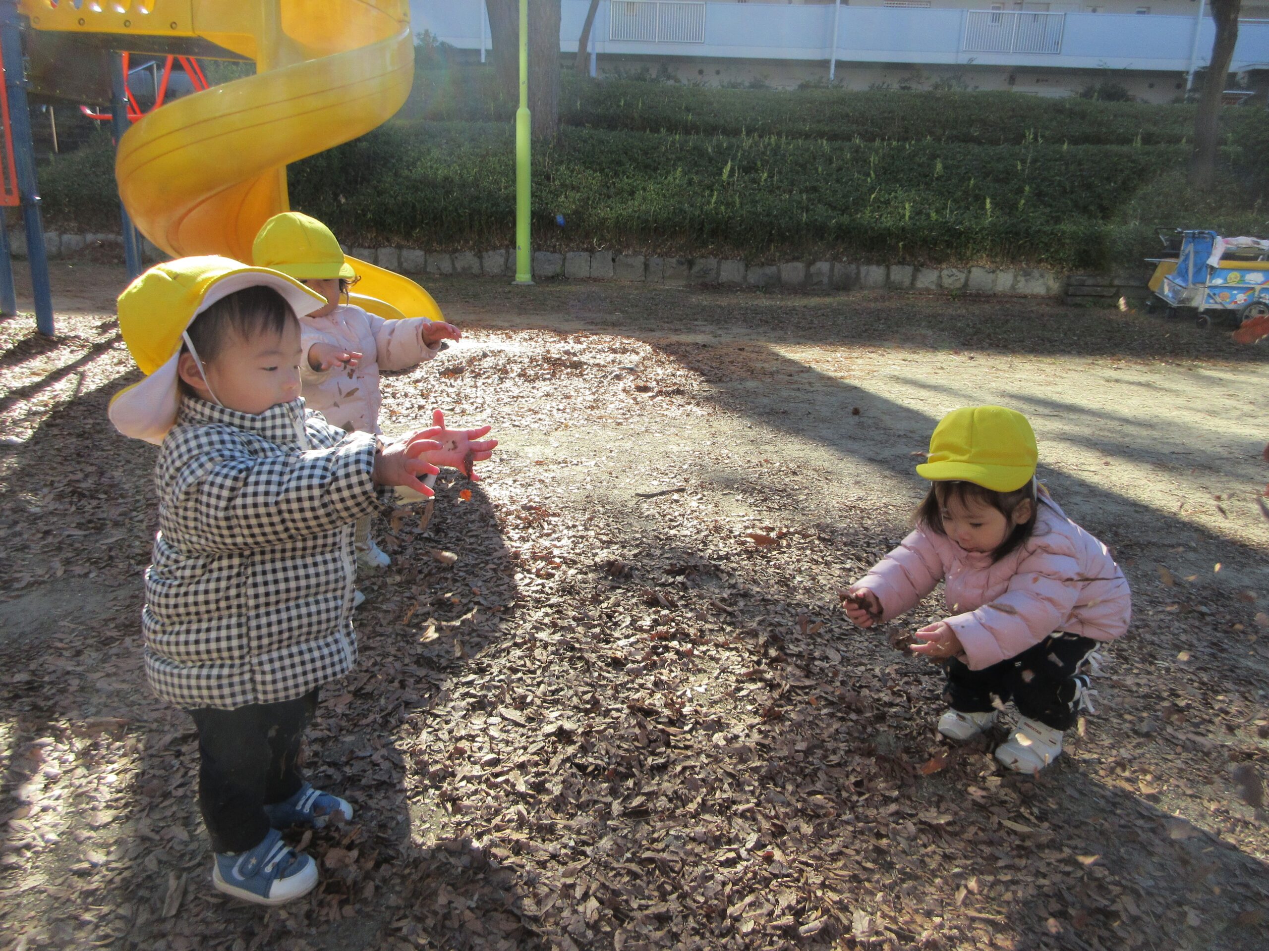 ジョイフルドーム前こども園_ブログ_20260226_01