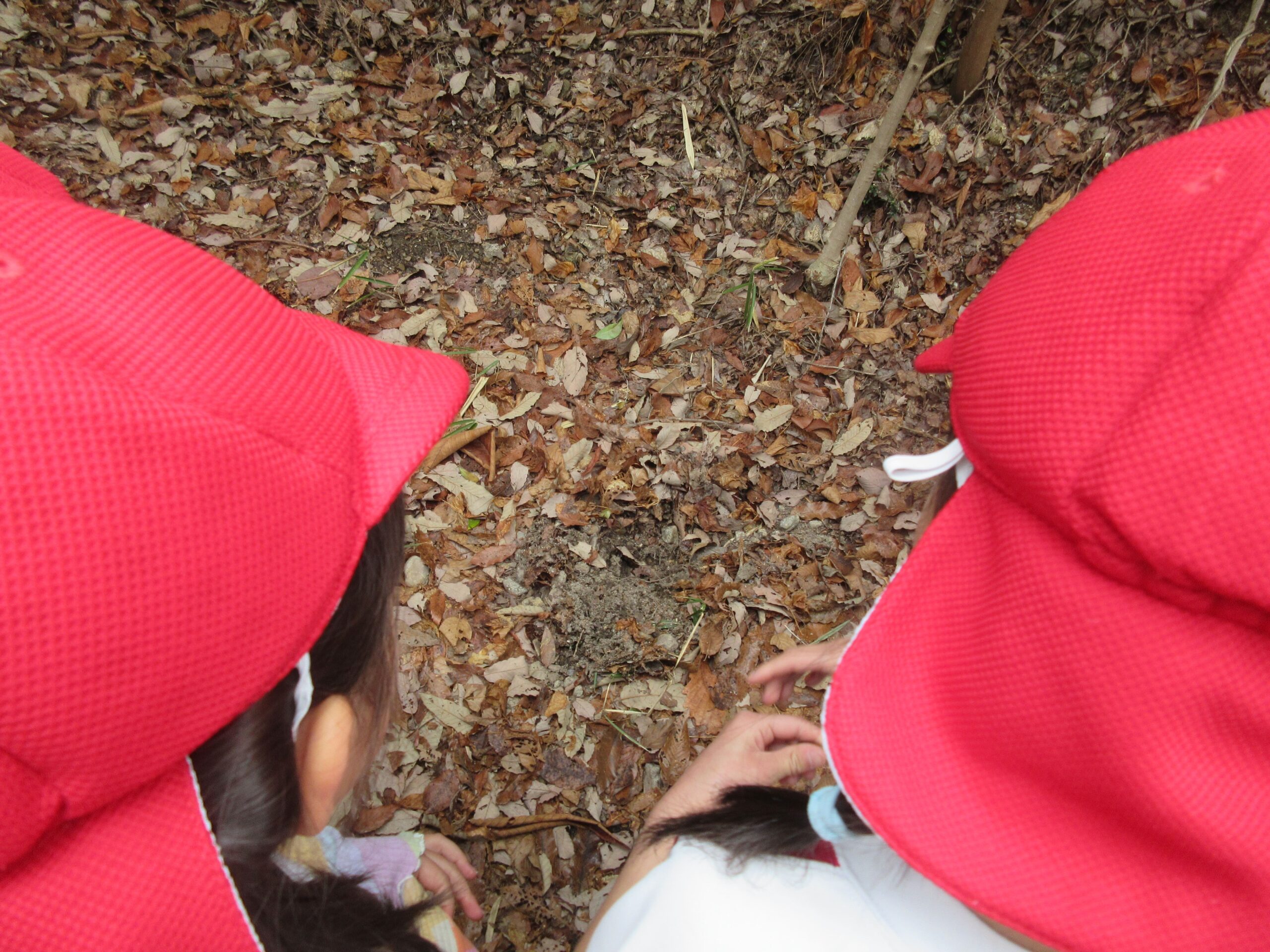 ジョイフルドーム前こども園_ブログ_20260312_02