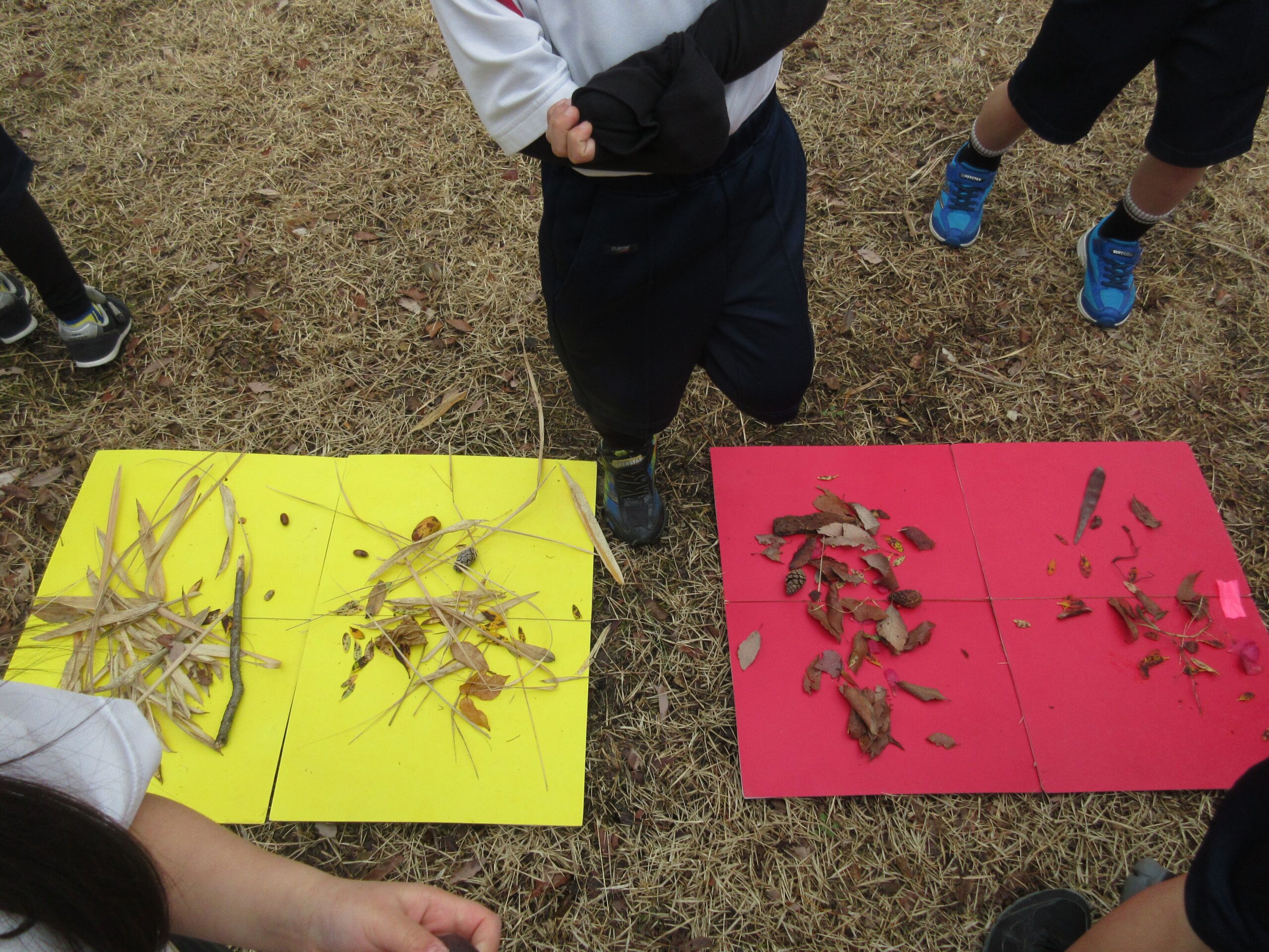 ジョイフルドーム前こども園_ブログ_20260312_04