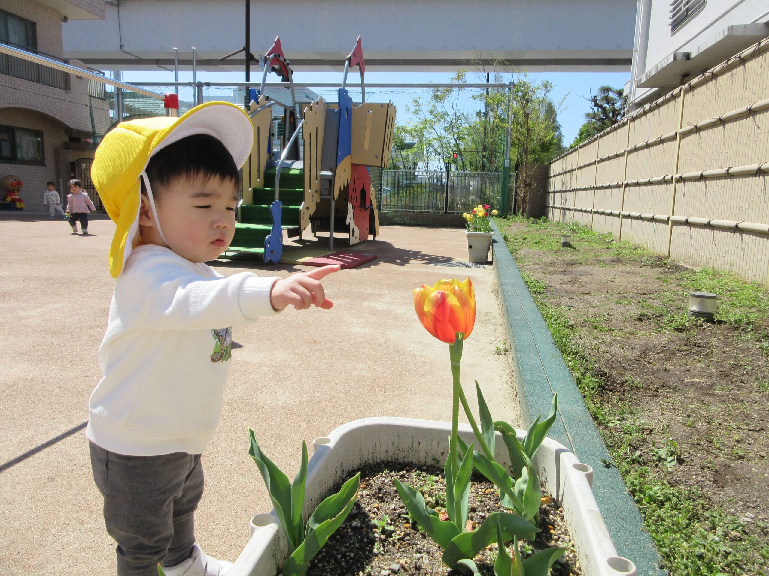 ジョイフルドーム前こども園_ブログ_20260415_03
