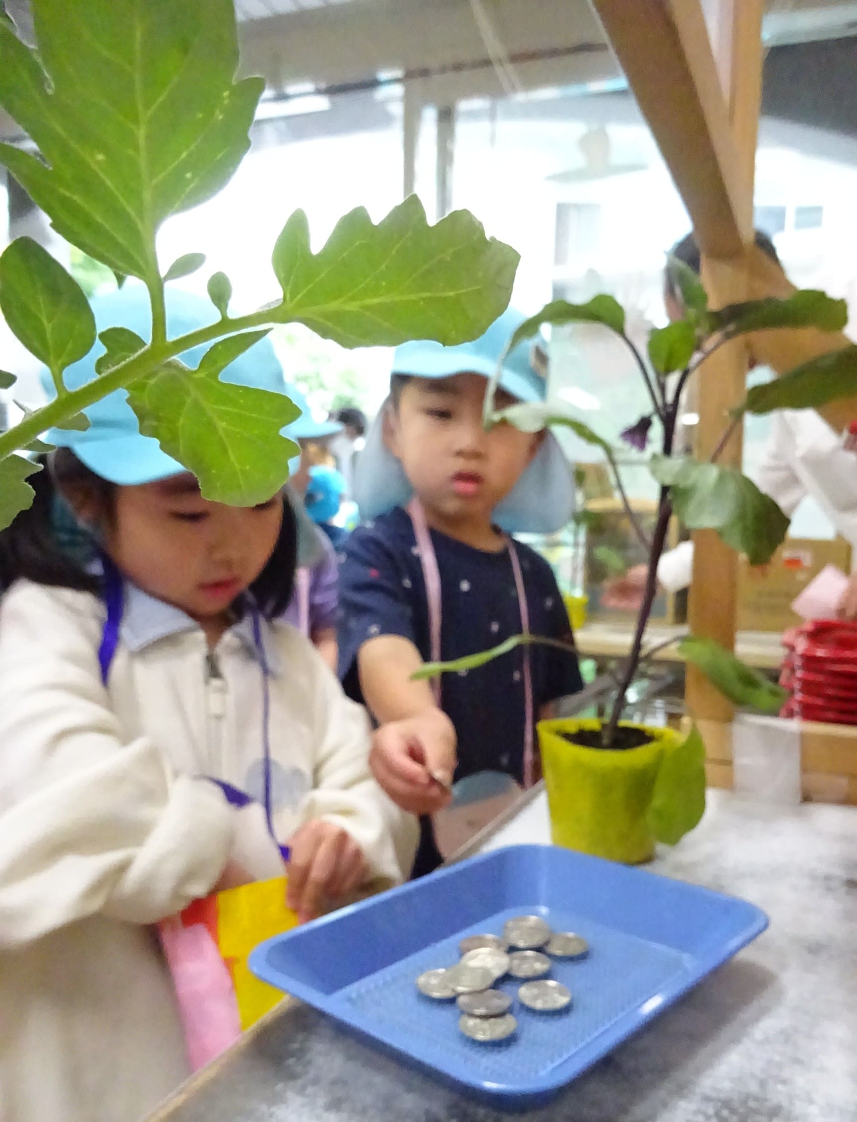 ジョイフル多治見こども園_ブログ_20260430_02