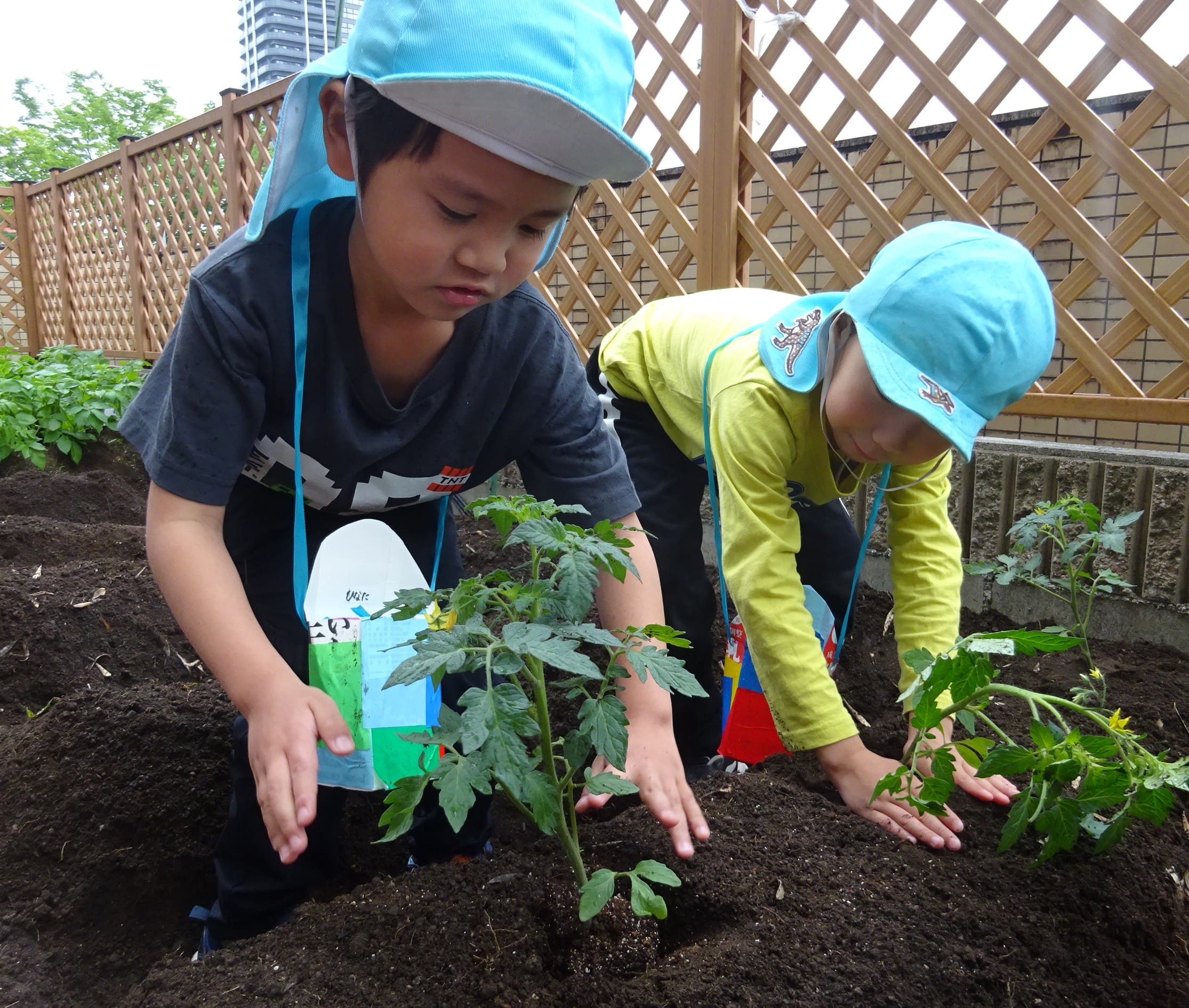 ジョイフル多治見こども園_ブログ_20260430_03