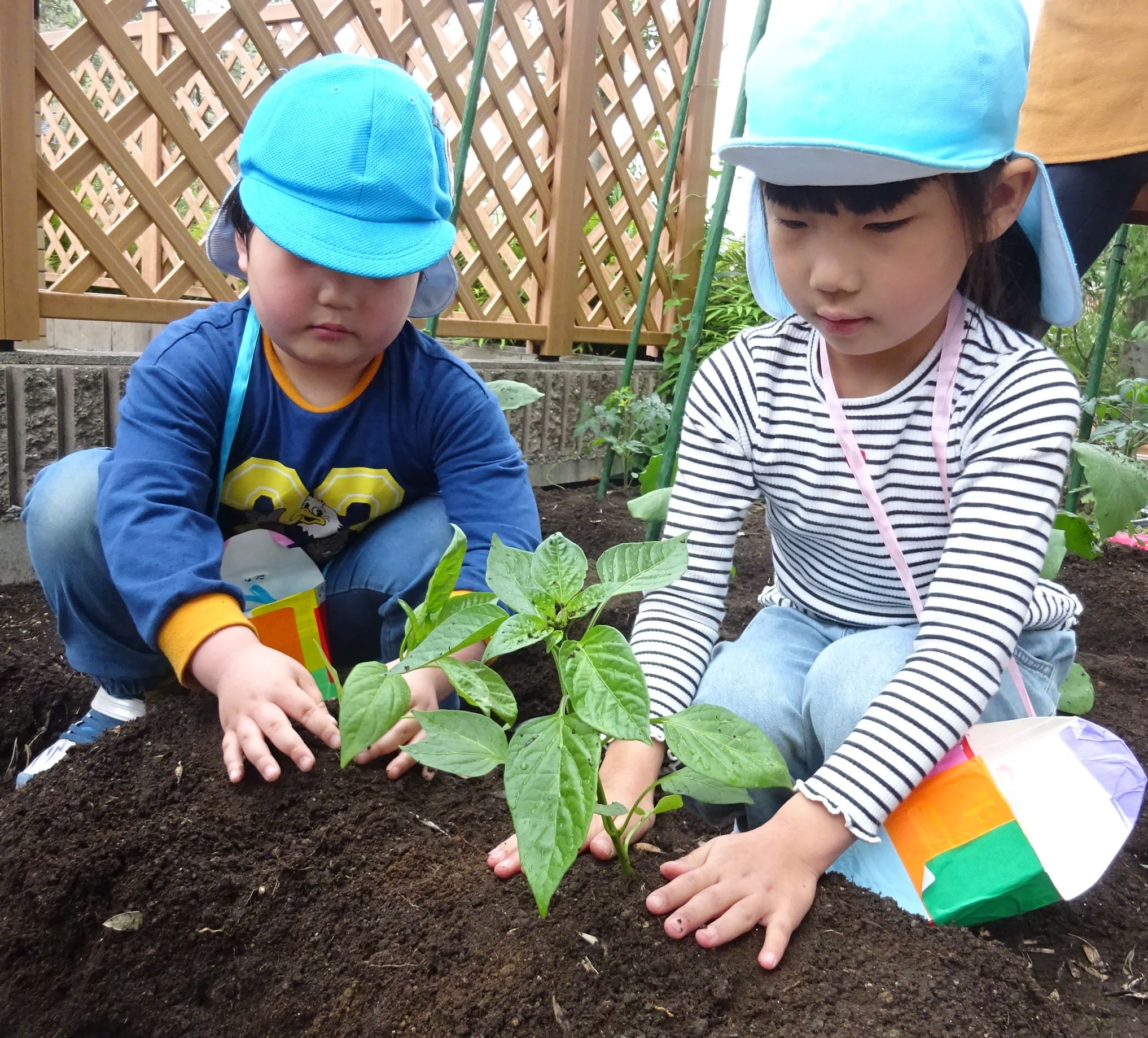 ジョイフル多治見こども園_ブログ_20260430_04