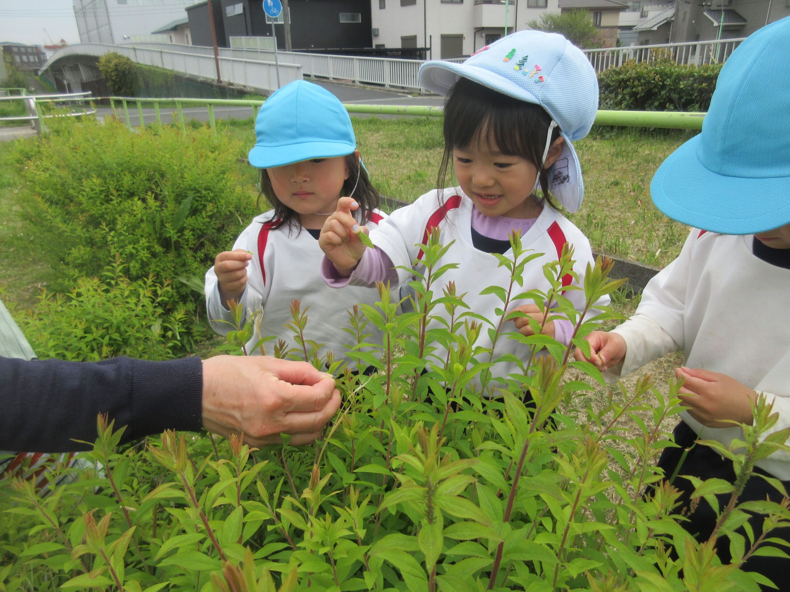 ジョイフル守山保育園_ブログ_20260507_04