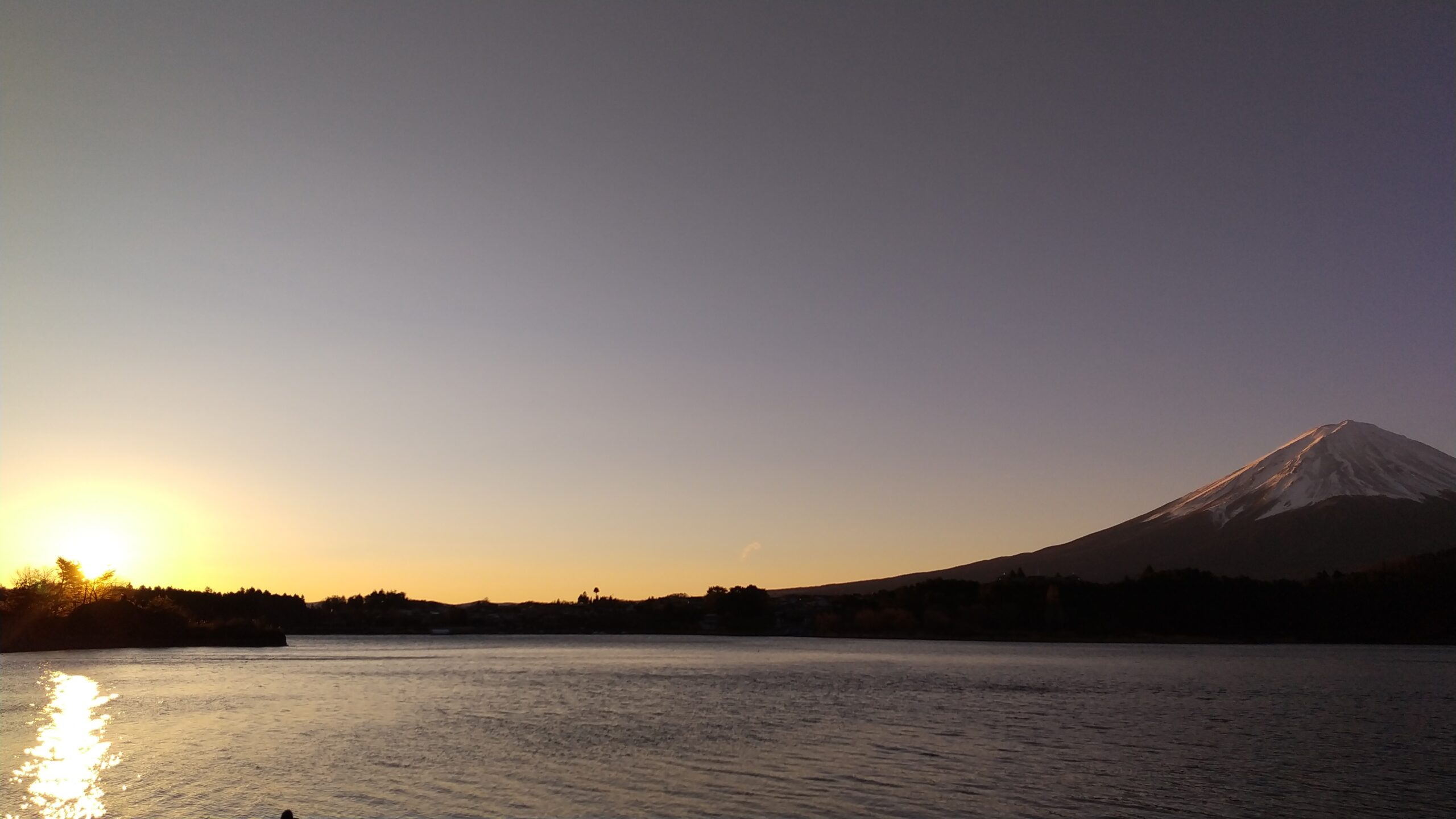 皆様の今年の夢や目標は何ですか？