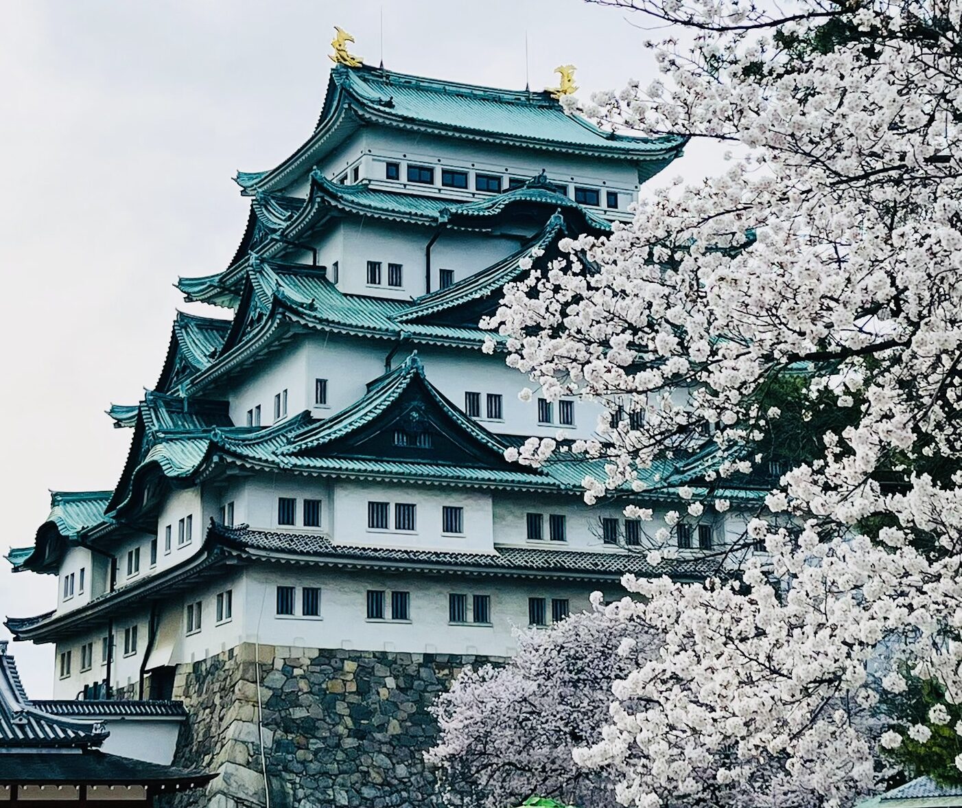 【グレイスフル熱田】～名古屋もお花見日和～