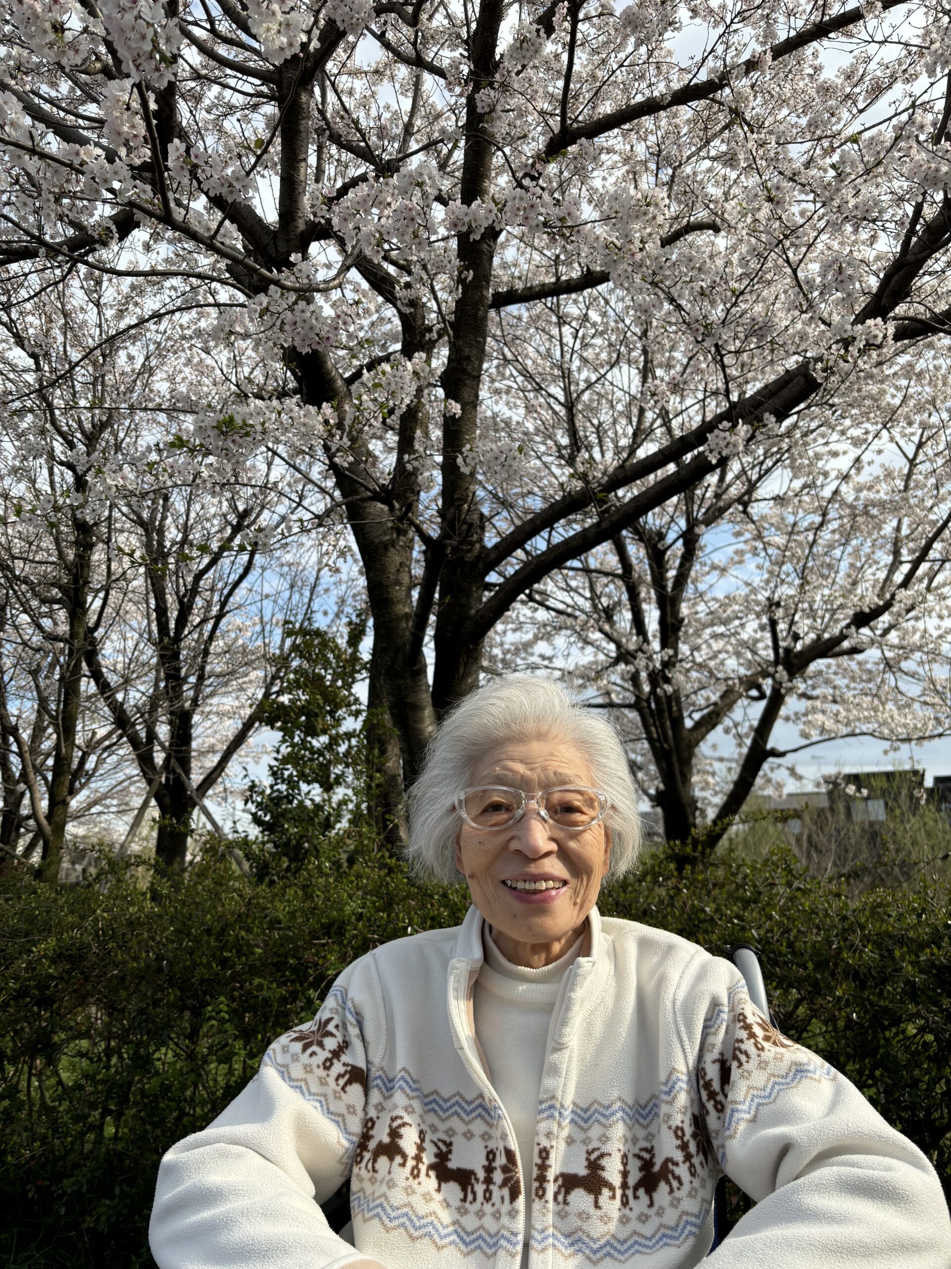 【第2ジョイフル江南】今年も桜は咲き誇る🌸