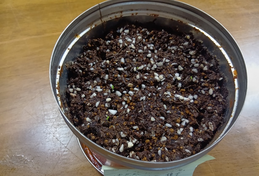 きっかけと経験を積むこと