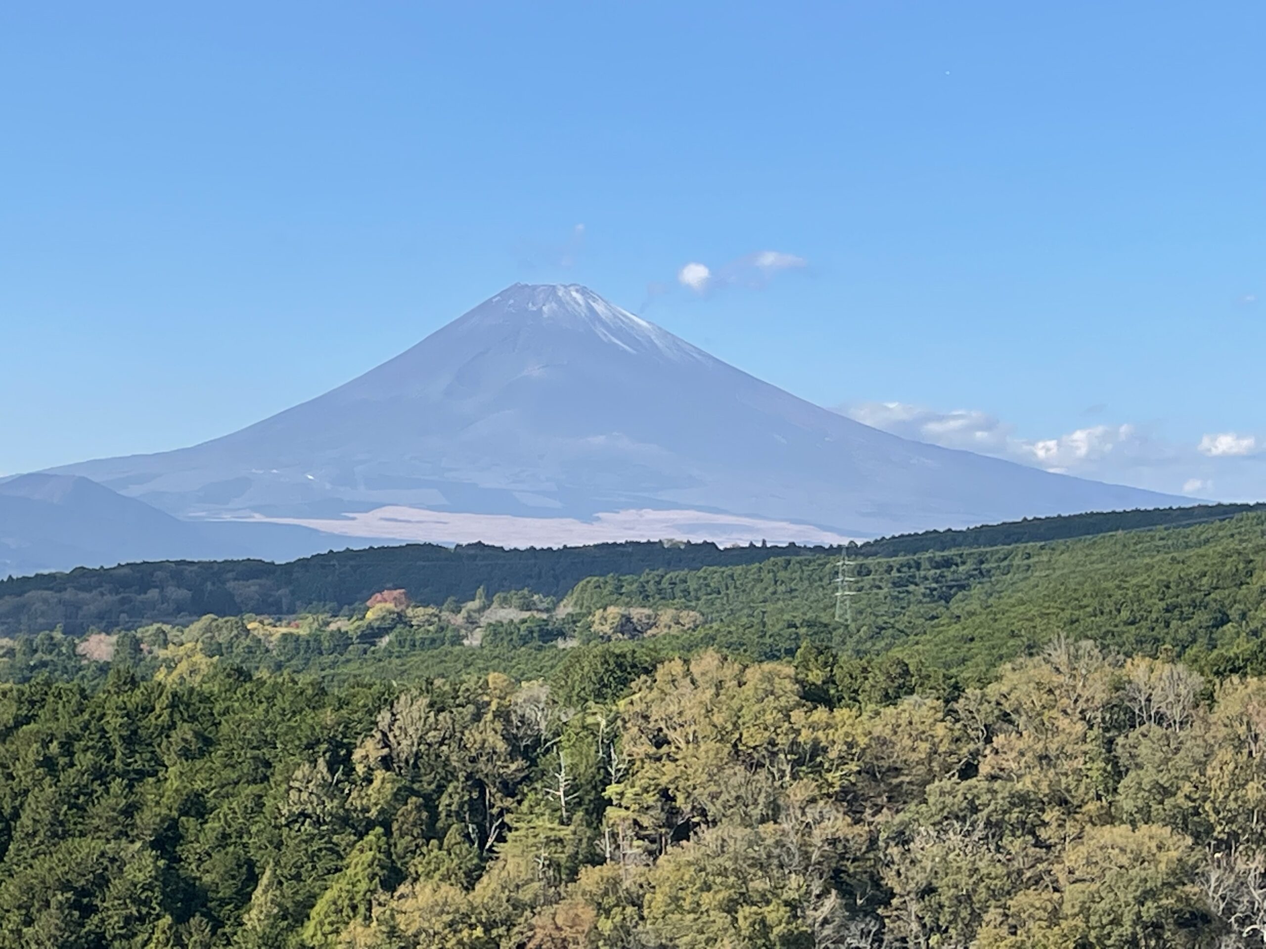最近の休日の過ごし方。