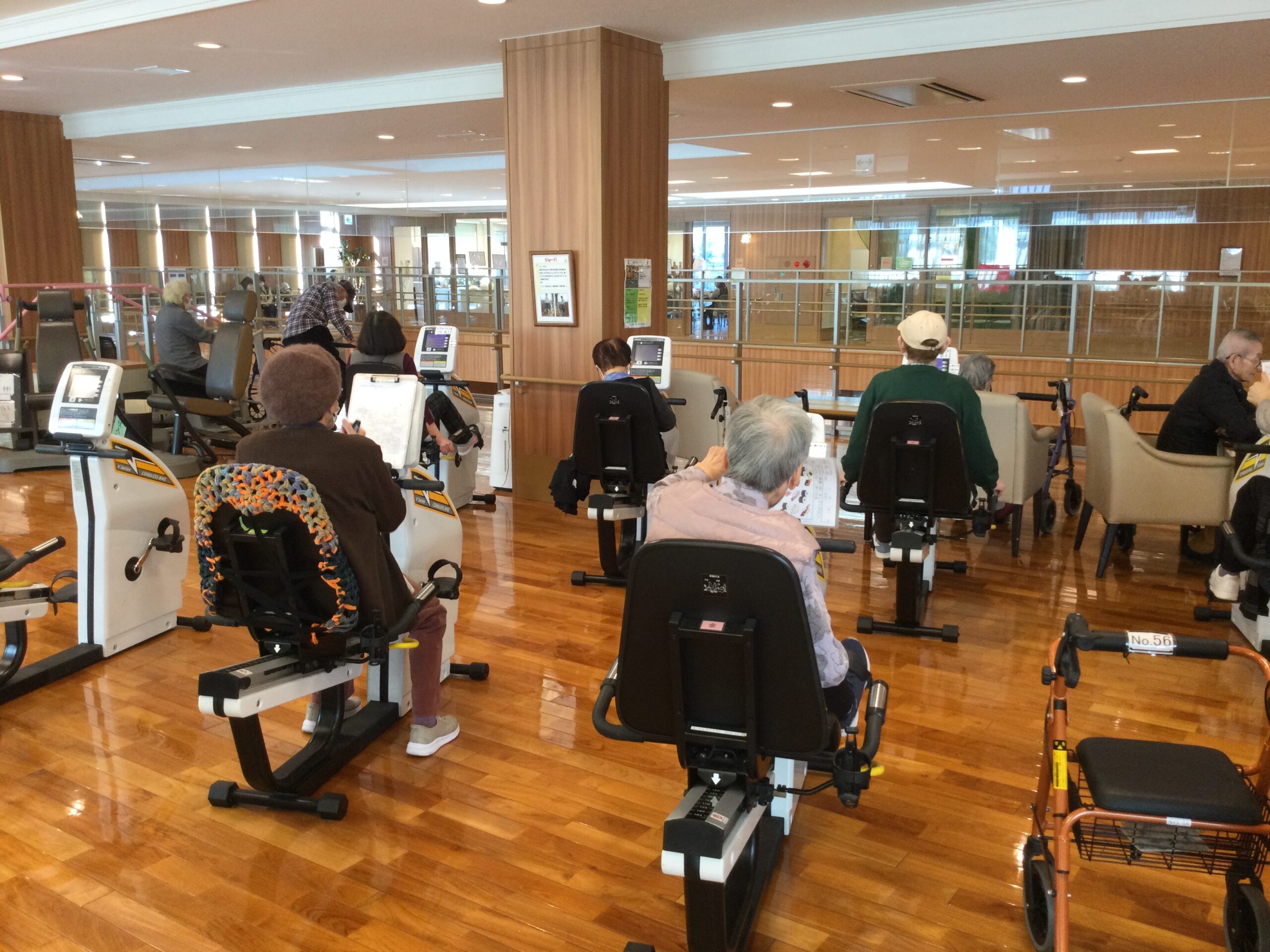 【大型デイ太古の湯】コグニサイズのススメ