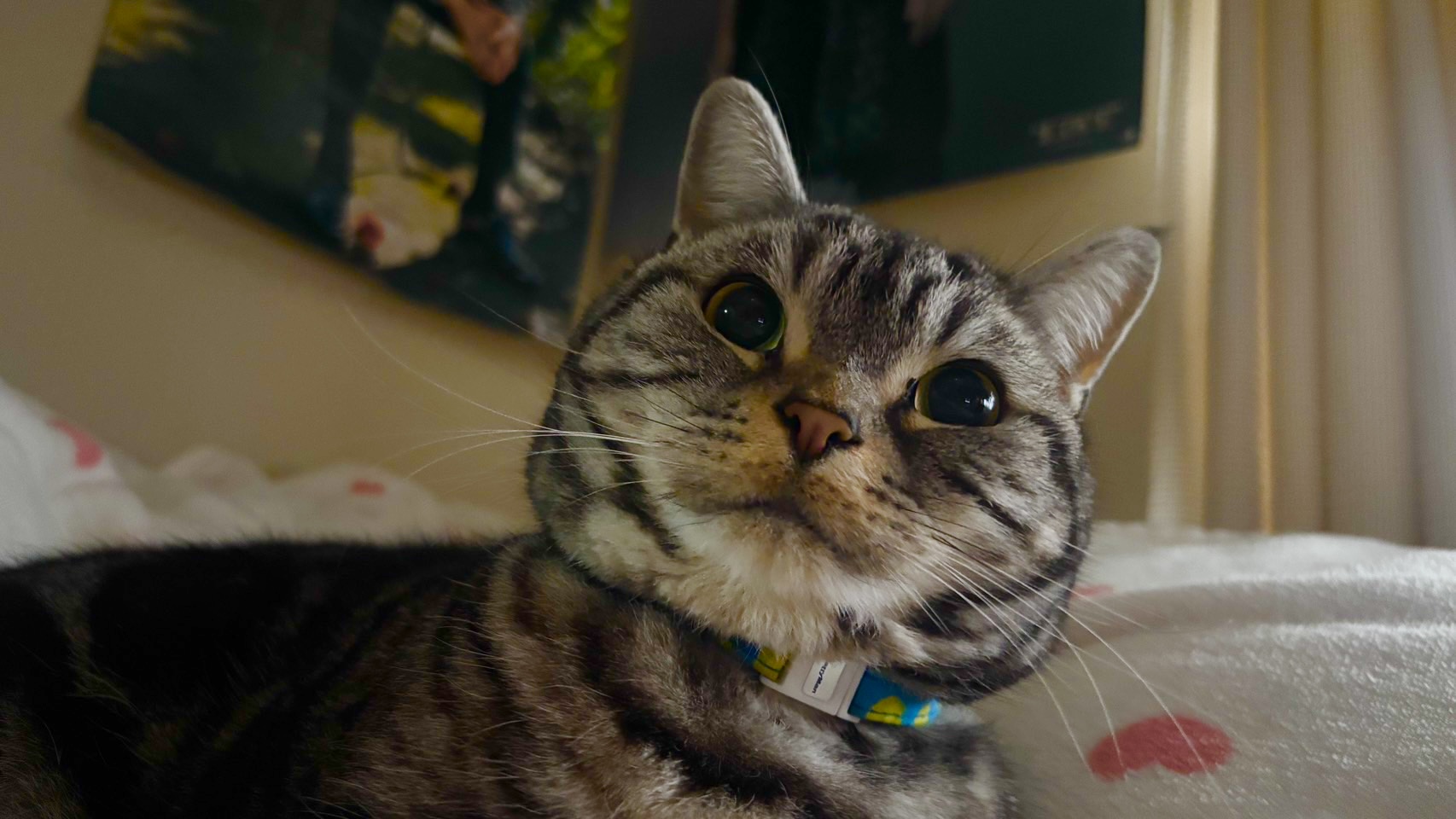 【グレイスフル熱田】 今年も“ウマ”―く行きますように🐎＝＝