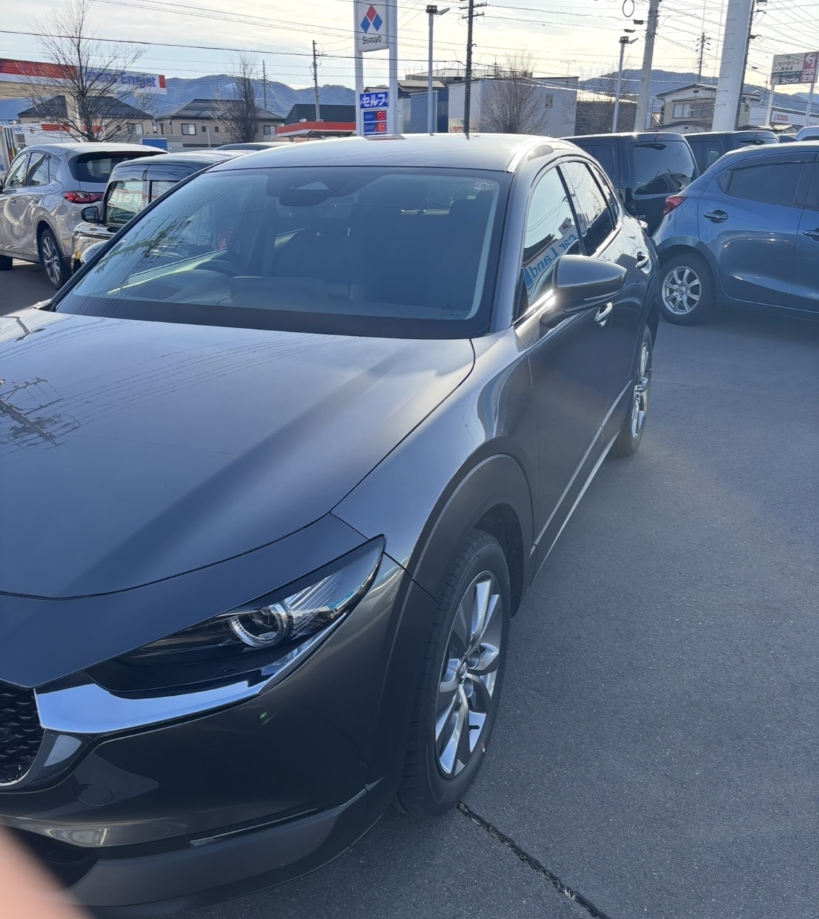 最近、楽しみにしていること！