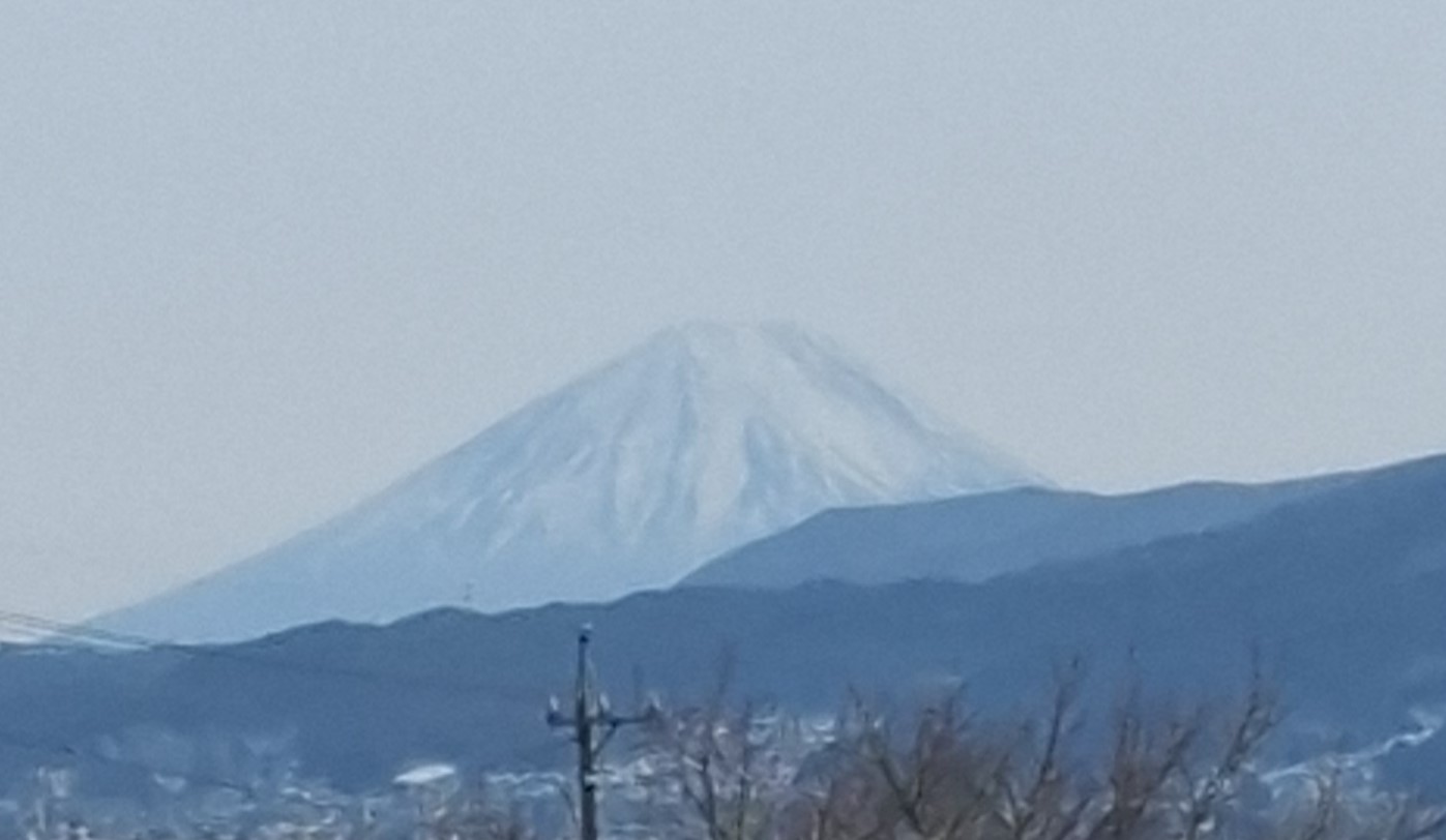 早朝の楽しみ♪