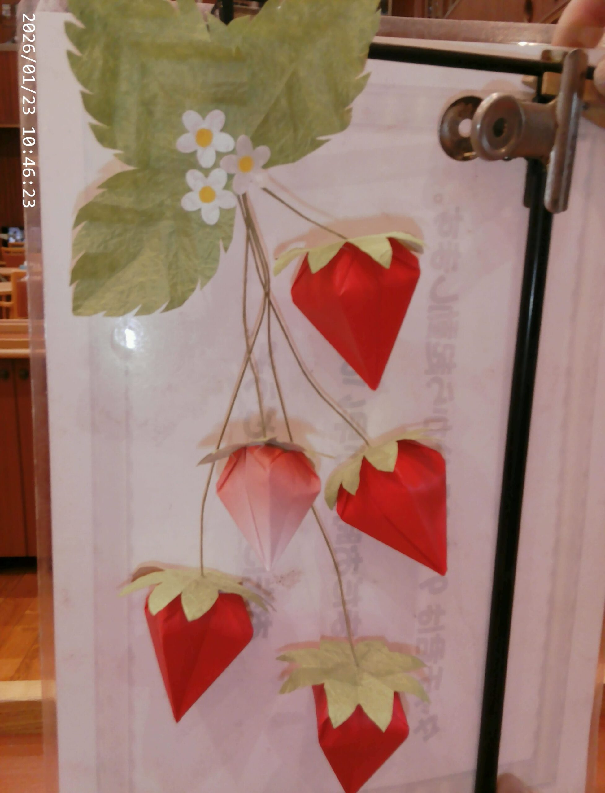 【リゾート春日井：アクティビティ情報】折り紙すごい！