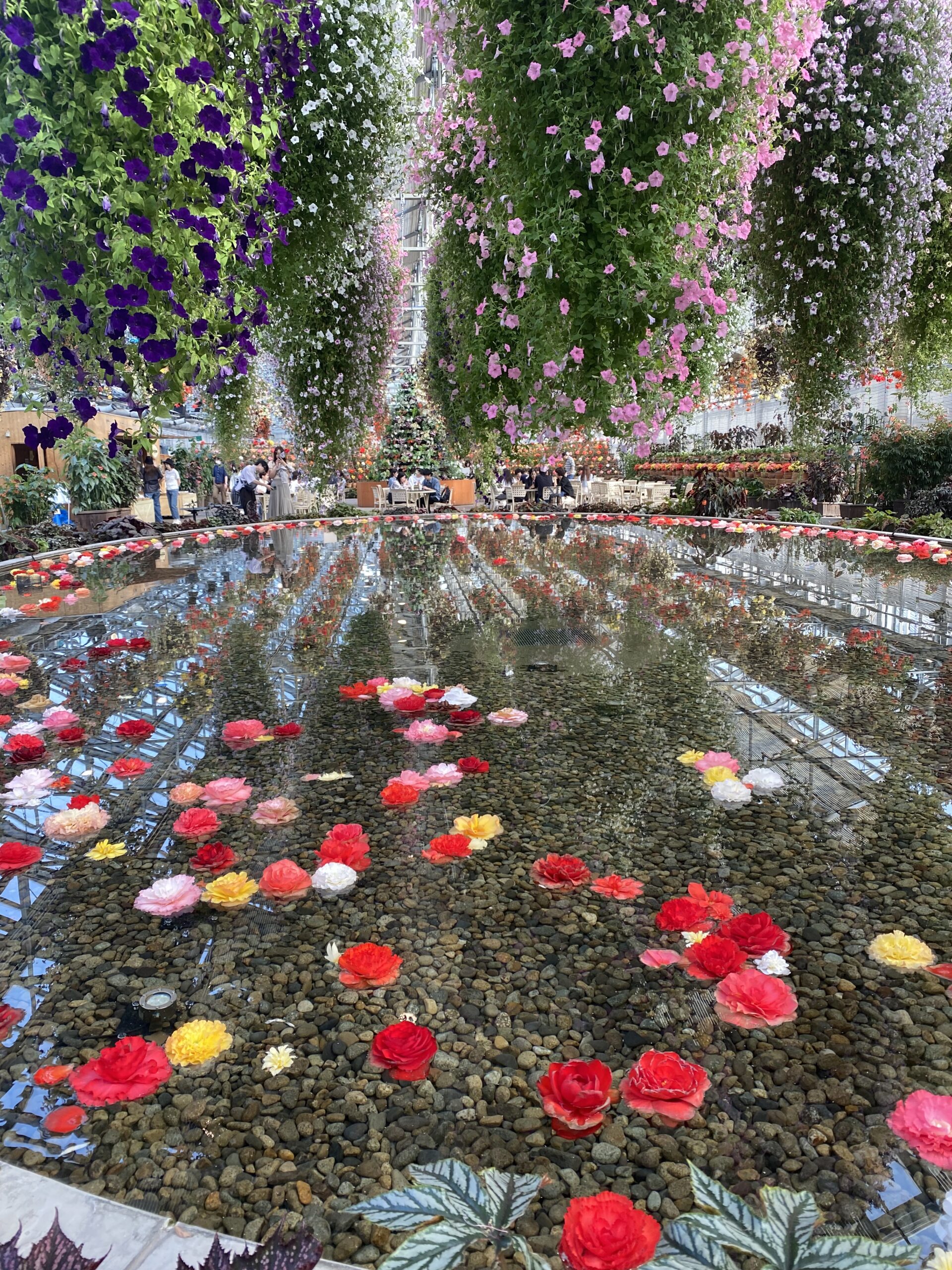 新年度を迎えて