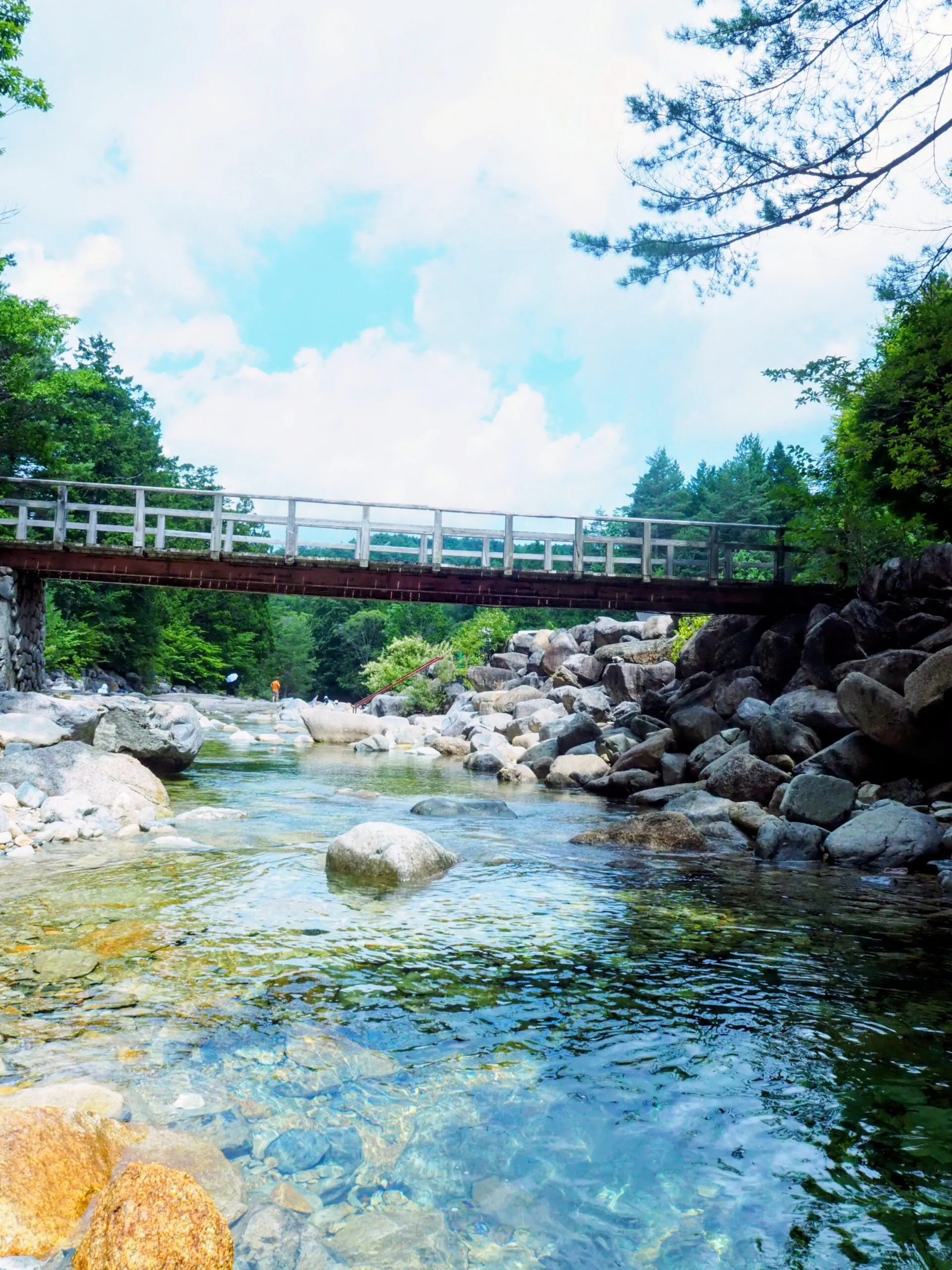 夏の思い出