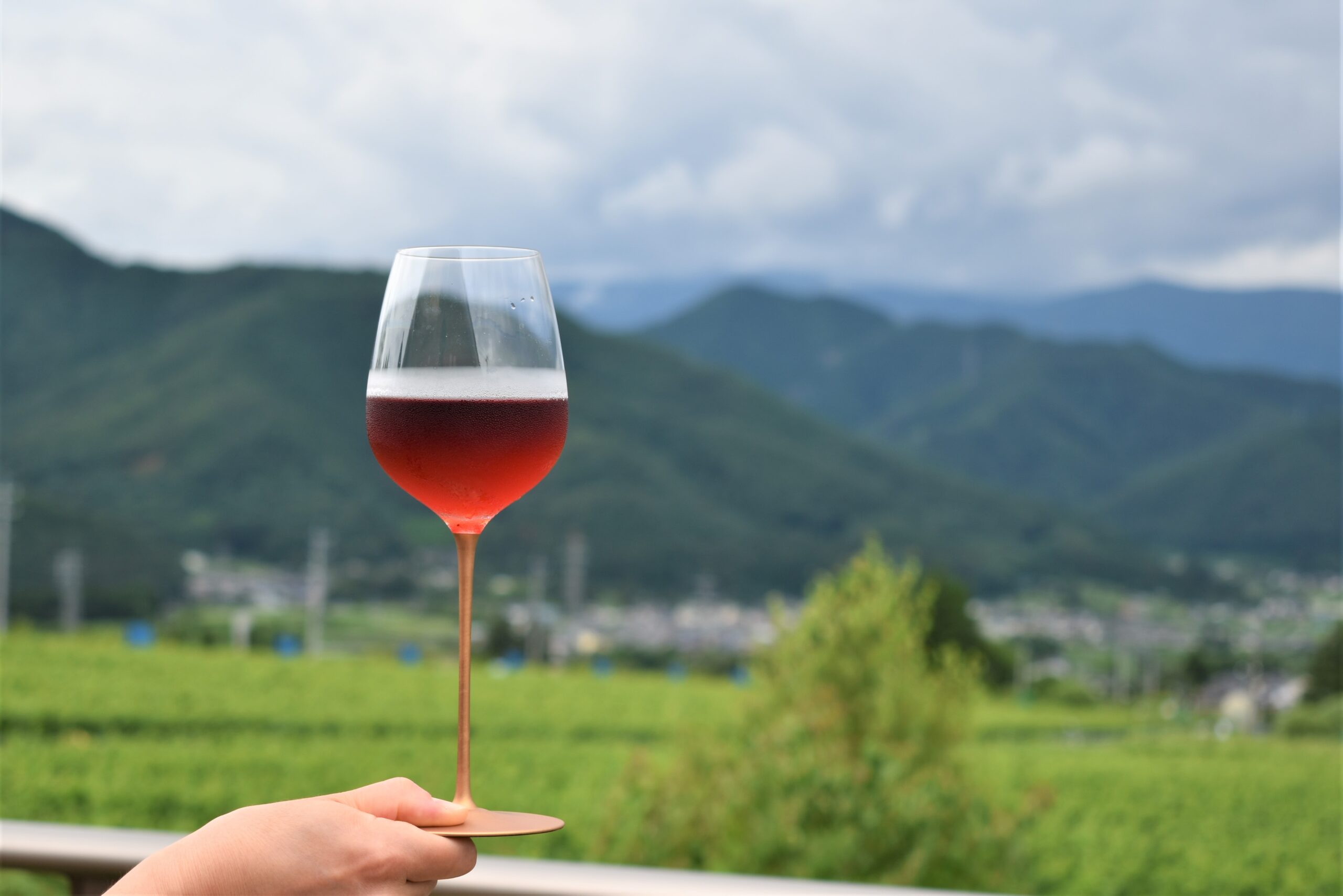 日本ワインのこれから　サンサンワイナリー